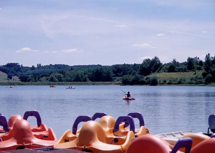 Hirondelle - Tg2190 * Molières