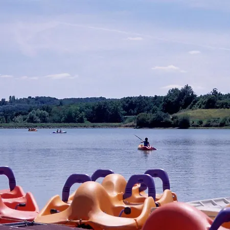 Hirondelle - Tg2190 * Molières